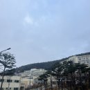 자연 속 진짜 쉼을 느낀 하루! 삼성 영덕연수원 힐링캠프 부대시설, 프로그램, 식당 솔직후기 :))