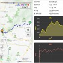 산수유 둘레길 이미지