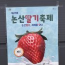 대왕농장 | [또로롱 딸기농장 체험] 공짜로 논산 딸기농장 체험하기 (feat. 고향사랑기부제) | 논산딸기체험 논산...