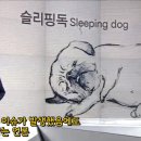 랩독 이미지