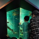 (주)다누리케어 | 충청도 단양 아이와 가볼 만한 곳 :: 단양 다누리아쿠아리움