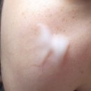 더심플 | 올리브영 싸이닉 더 심플 데일리 로션 3달 후기 내돈내산