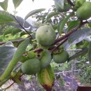 병현농장 이미지