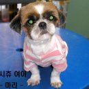 까미