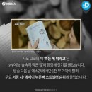 바람미디어 연합뉴스