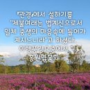 큰언니 소연실연우님을 보내며 수정해 올립니다 이미지