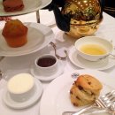 방콕레스토랑/바- TWG Tea Salon & Boutique/TWG 차살롱 &부띠끄/애프터눈티 유명카페 이미지