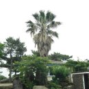 석림원 이미지