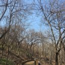 가온공원 이미지