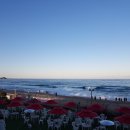 바다정원 이미지