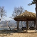 두꺼비 분식 이미지