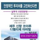 디펠리체 Daum카페