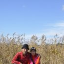 2011스케치 이미지