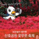 산호동247 이미지