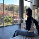 콜 | 어깨가 예뻐보이는 겨울 니트 | 포트오브콜 래글런 캐시미어 후기