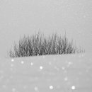 한마음한의원 이미지