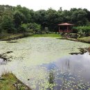 동백동산 이미지