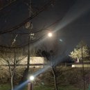 매향 오토 캠핑장 이미지