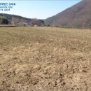 진전면 미천마을 마을회관 이미지