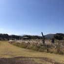 스킨온유 네이버블로그