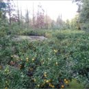 남원읍-105 이미지