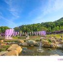 사랑카페 - 대덕구 | 사랑카페