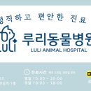 루리동물병원 이미지