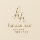 헤레이스 | [춘천 온의동 미용실] &#39;헤레이스헤어&#39;, 반려동물 동반 가능한 펌/염색 전문점