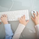 세종선거관리위원회 이미지