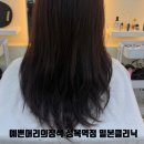 예쁜머리의정석 성복역점 윤희디자이너 밀본클리닉 후기
