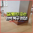 구로-현장-구로-487 | 강아지가 물어 뜯은 걸레받이 파손 복원 복구 수리 작업!