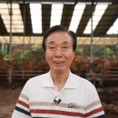 새농장 눈꽃한우농장 | 농협사료 우수농가 성적 비결은<9> 울산 울주 새농장눈꽃한우 [26년 3월 20일 뉴스]