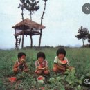 원두막커피 이미지