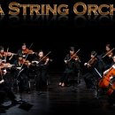 글로리아 스트링 오케스트라 이미지