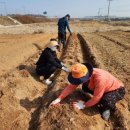 재형농장 이미지