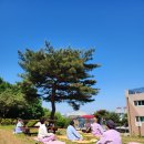 의료법인 큰나무의료재단 이미지