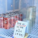 함덕 숨어있는집 | 백록집 함덕맛집 숨어있는 제주고등어회 노포 맛집 가성비 최고