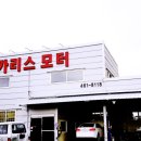 카리스모터