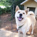 복실농장 이미지