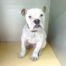 경민약국 이미지