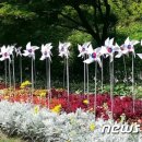 흥안로 이미지