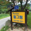 얼레지펜션 | 펜션리뷰 강원도 평창 흥정계곡 필그림 펜션 4-5인실 얼레지 후기 여름휴가