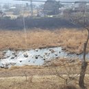 양평엔옥천공인중개사사무소 이미지