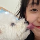우프테이블 이미지