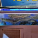 권선구 권선동 | 권선구 횟집 수원 권선동의 숨은 보석, 충무수산 후기