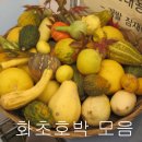 능원3리 이미지