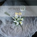 조화 | 대전 웨딩촬영 조화 부케 후기 웨촬 소품 준비물 부토니에, 릴라몬트