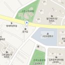 임스테라피 네이버블로그