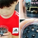 대천공원1호 이미지