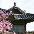 모평헌